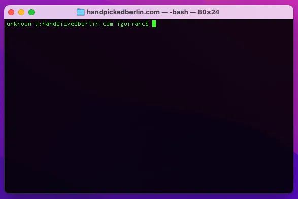 Coding agent running inside a terminal window: text only, no graphics